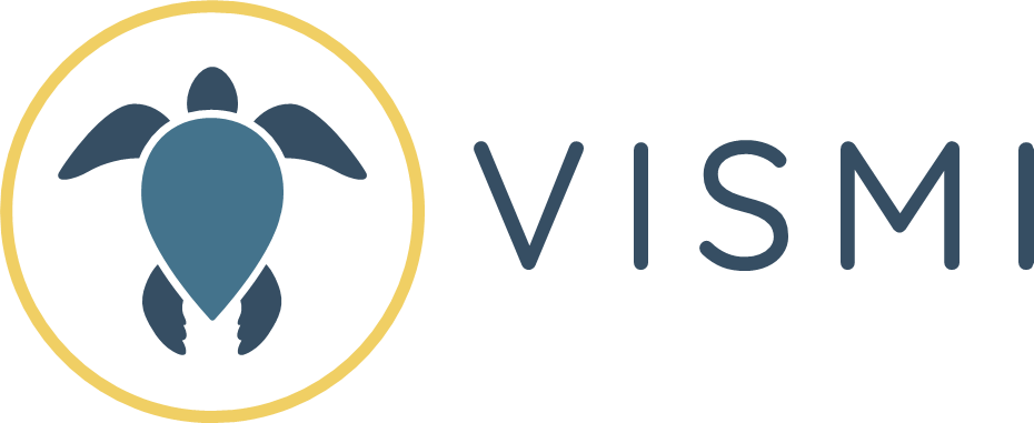 vismi